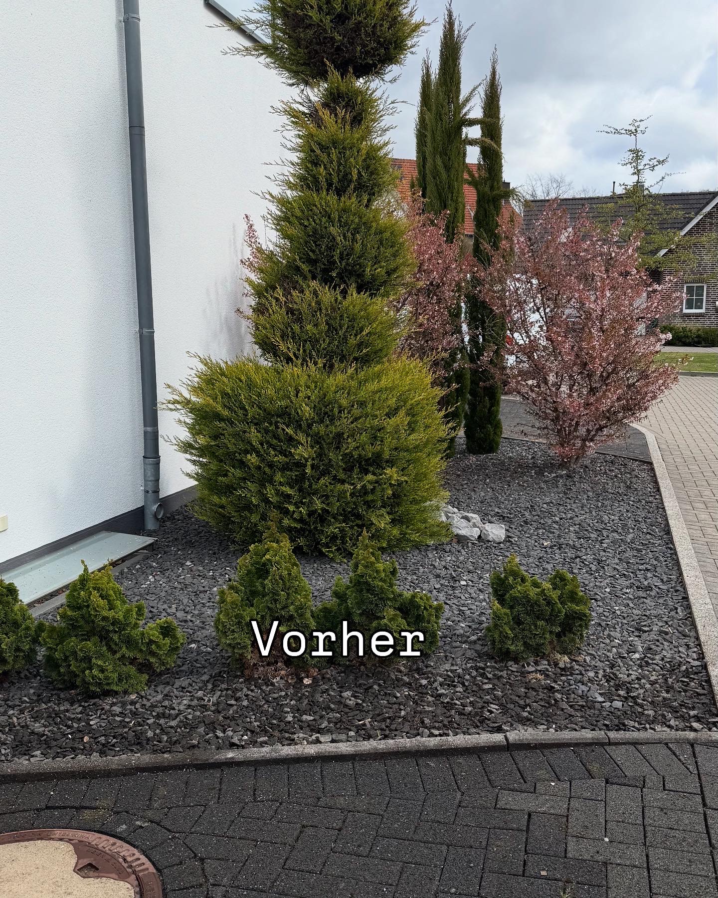 Vorher 2